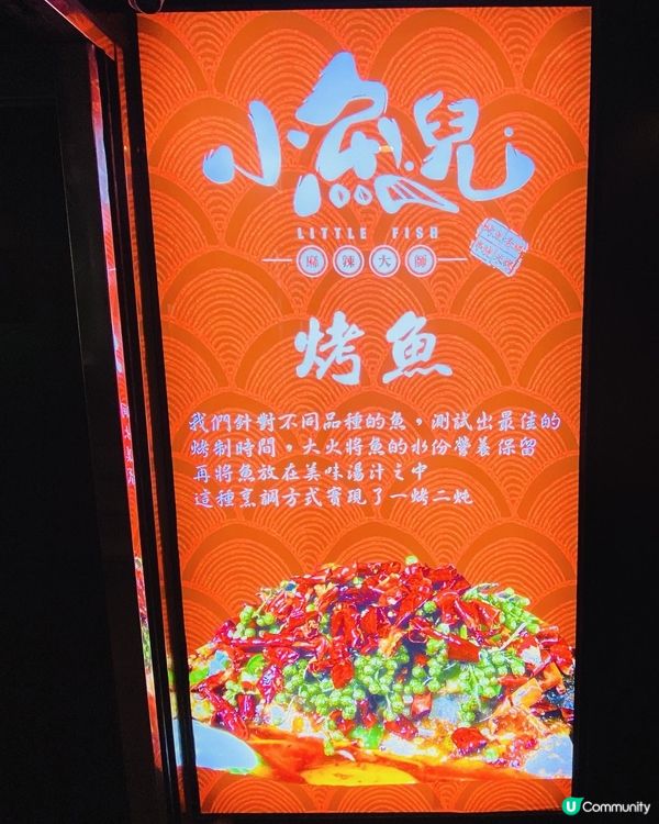 銅鑼灣➡️➡️➡小魚兒