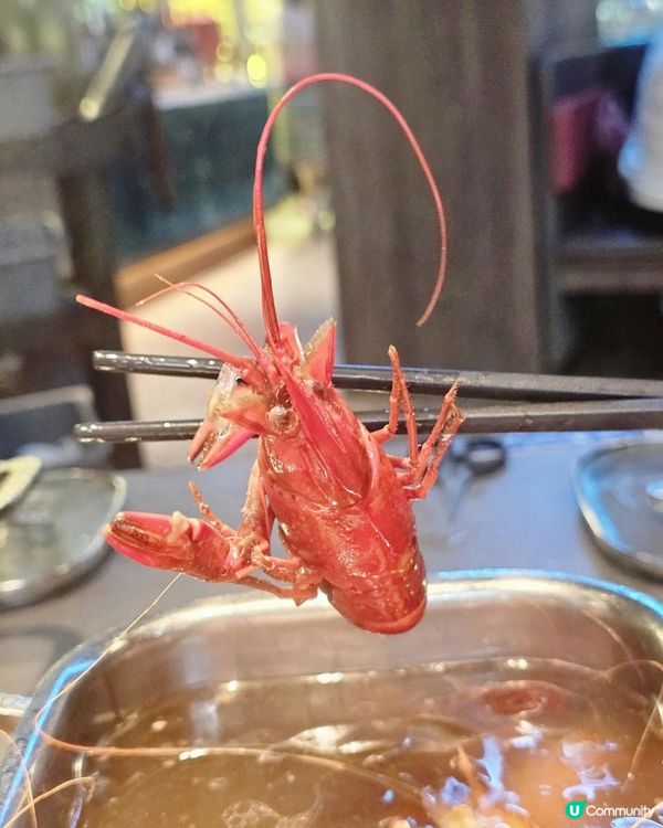 📍深圳必吃。生猛海鮮🦞榴槤暢吃自助餐