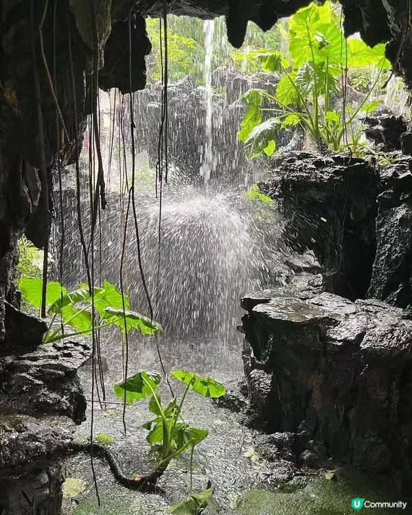 嶺南園林之美-清暉園