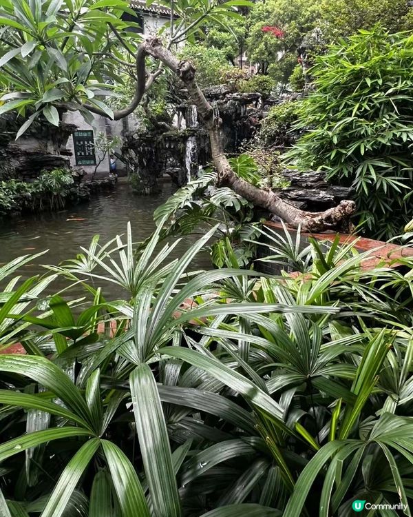 嶺南園林之美-清暉園