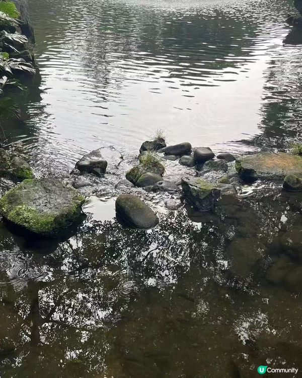 嶺南園林之美-清暉園