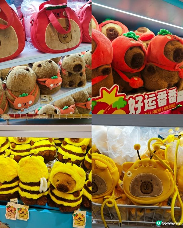 來啦來啦！卡皮巴拉的粉絲看過來！