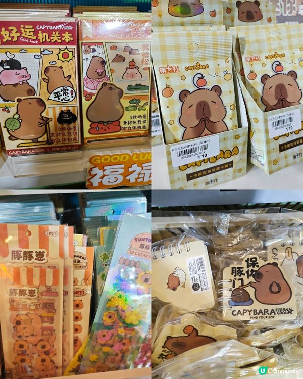 來啦來啦！卡皮巴拉的粉絲看過來！