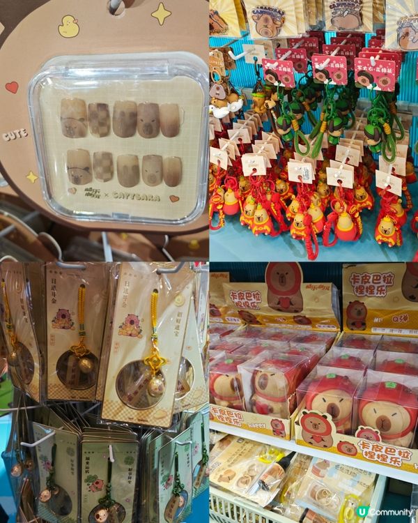 來啦來啦！卡皮巴拉的粉絲看過來！