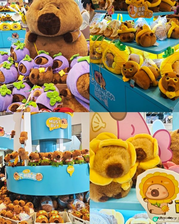 來啦來啦！卡皮巴拉的粉絲看過來！