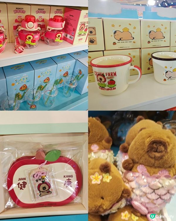 來啦來啦！卡皮巴拉的粉絲看過來！