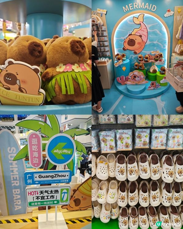 來啦來啦！卡皮巴拉的粉絲看過來！