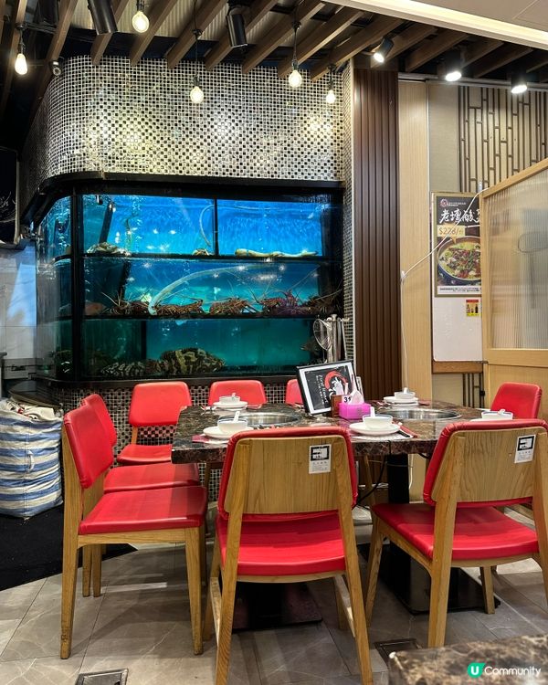 ［將軍澳］雞煲+火鍋150分鐘任食放題🍲