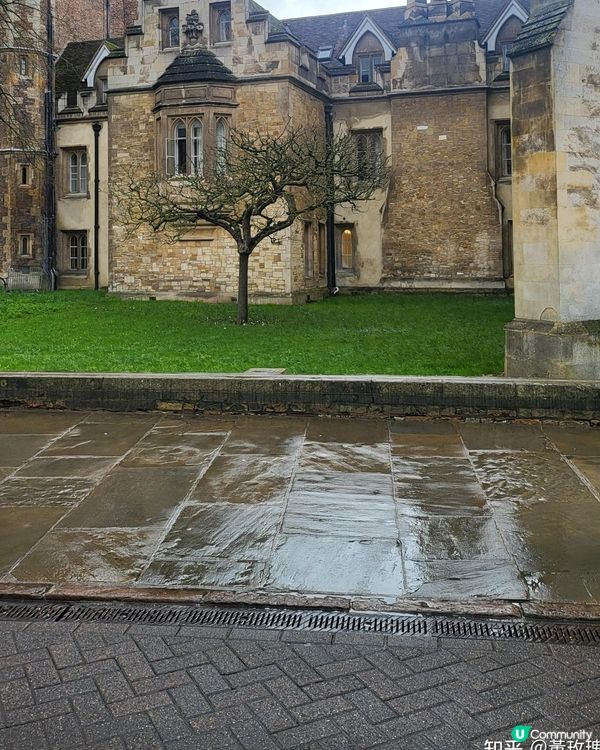 劍橋大學“牛頓的蘋果樹”