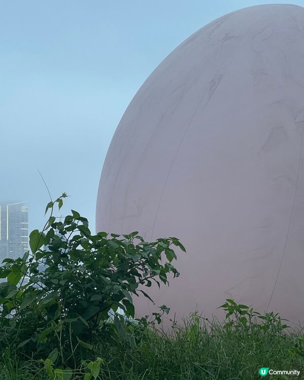 ♊️teamLab: Continuous 光漣 ep.2 ♊️