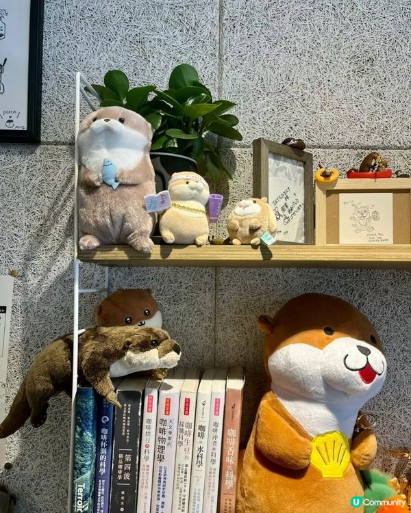 ✨️日本水獺Cafe 😍✨️