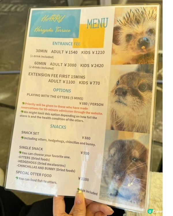 ✨️日本水獺Cafe 😍✨️