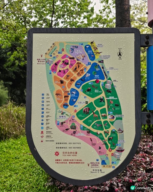 🚄坐高鐵。遊廣州🐼  入場費 ¥20玩轉廣州動物園 