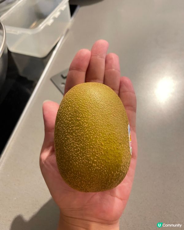 油麻地果欄遊😛