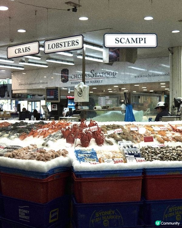 悉尼 Sydney Fish Market - 澳洲自由行