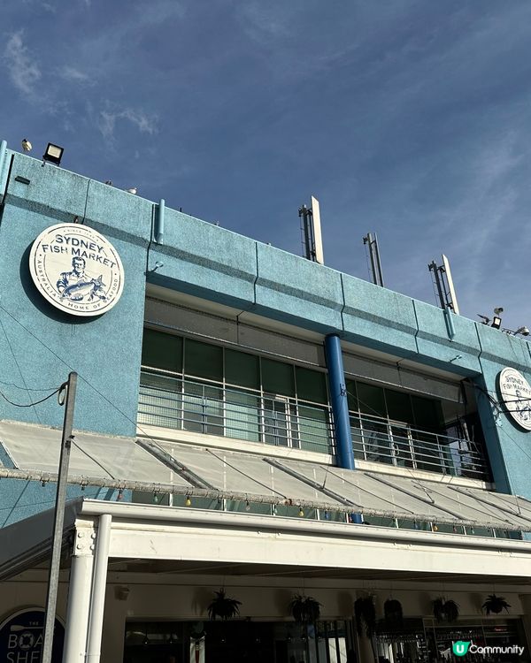 悉尼 Sydney Fish Market - 澳洲自由行