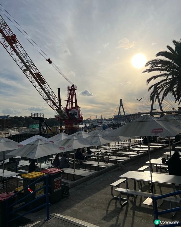 悉尼 Sydney Fish Market - 澳洲自由行