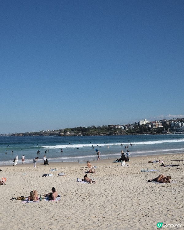悉尼放鬆好去處 - Bondi Beach / Market