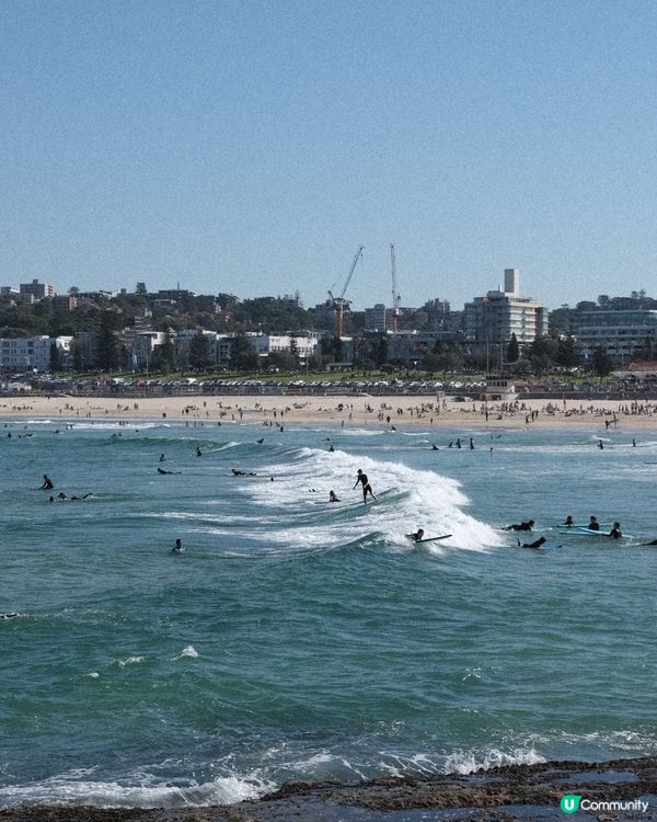 悉尼放鬆好去處 - Bondi Beach / Market