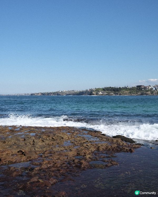 悉尼放鬆好去處 - Bondi Beach / Market