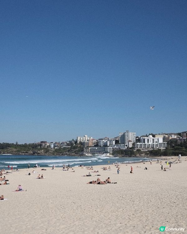 悉尼放鬆好去處 - Bondi Beach / Market