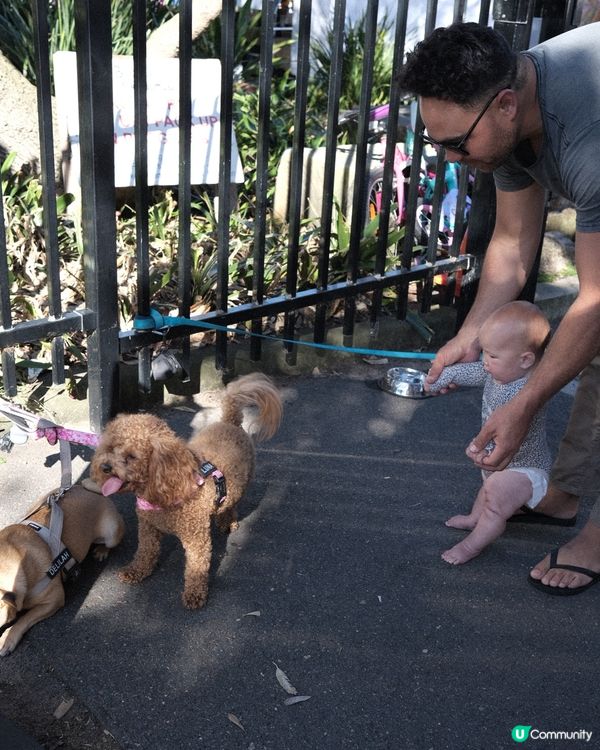 悉尼放鬆好去處 - Bondi Beach / Market