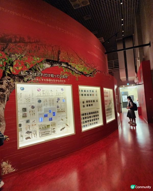 上野公園 - 國立科學博物館