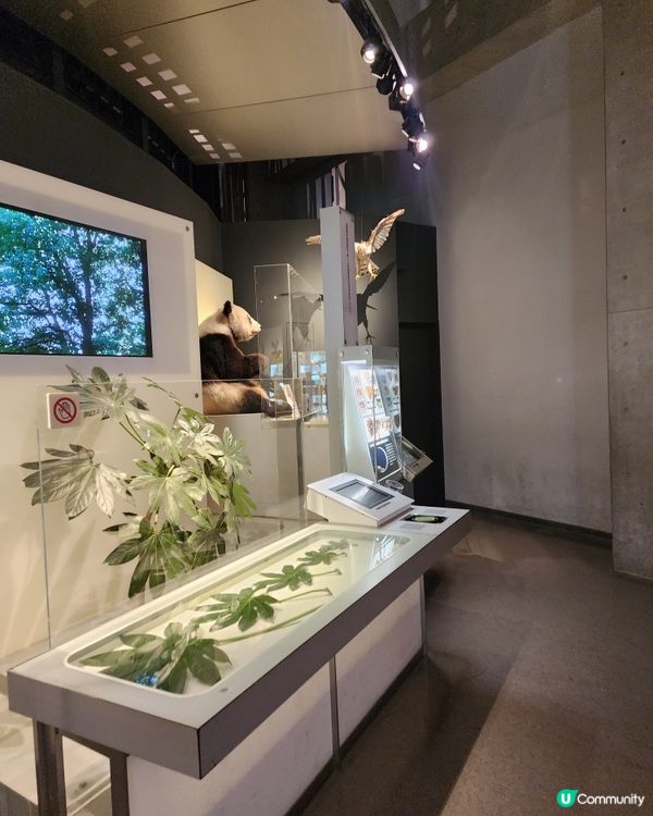 上野公園 - 國立科學博物館