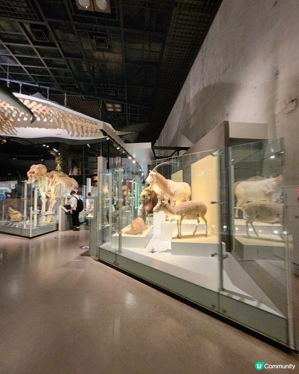 上野公園 - 國立科學博物館