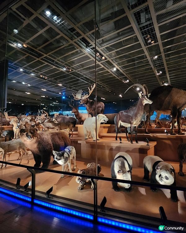 上野公園 - 國立科學博物館