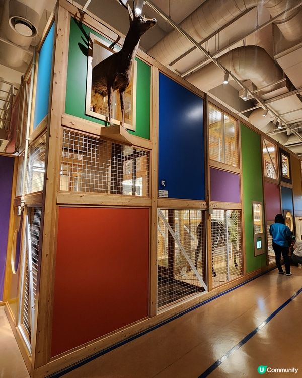 上野公園 - 國立科學博物館