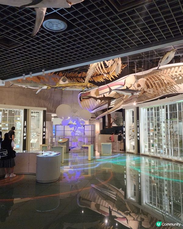 上野公園 - 國立科學博物館