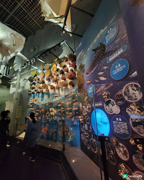 上野公園 - 國立科學博物館