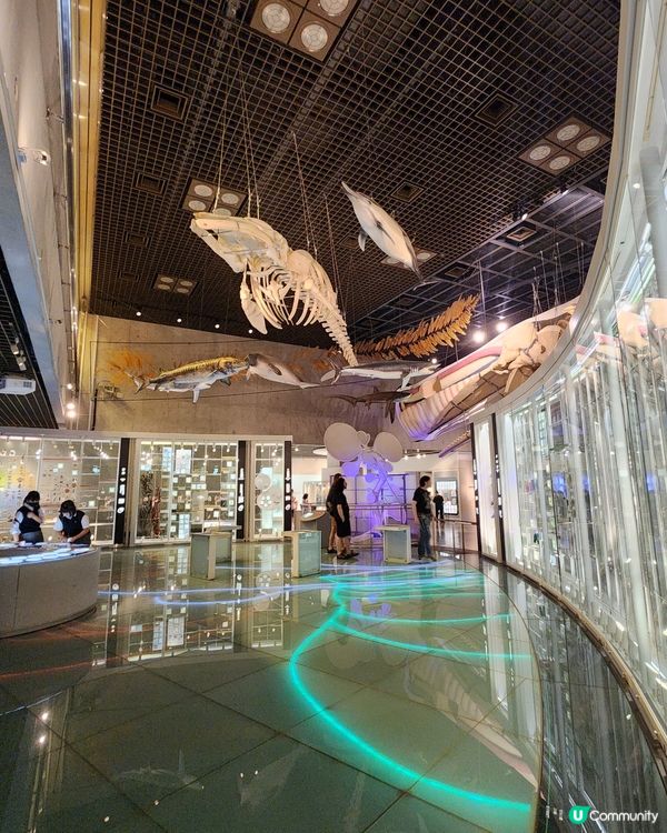 上野公園 - 國立科學博物館