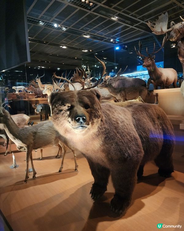 上野公園 - 國立科學博物館