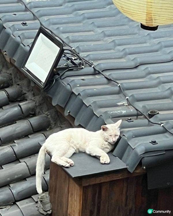 長安亭院火鍋 ～ 回到唐朝