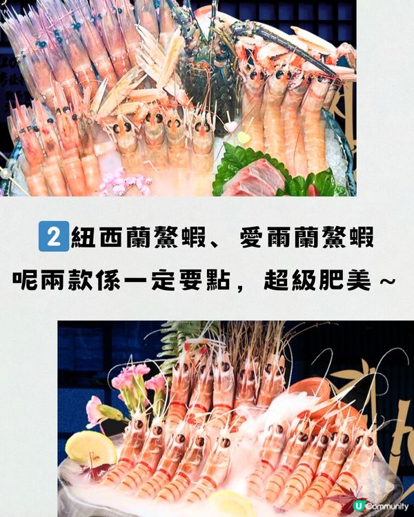 福田性價比高晚市鰲蝦放題🦐任飲任食刺身/和服打卡👘