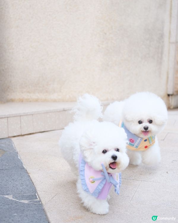 Run Run Run🏃🏻‍♀️🏃🏻‍♂️💨💨💨