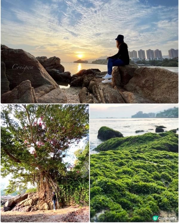 慢活蟠龍半島🏖️