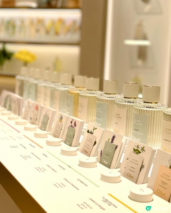 Chloé Atelier des Fleurs 20款香氛系列 🌷