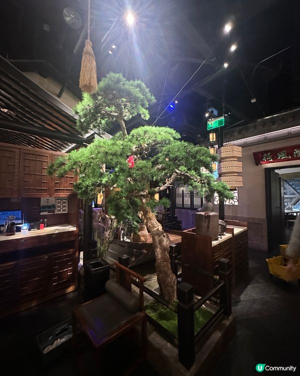 人氣綠茶餐廳必吃