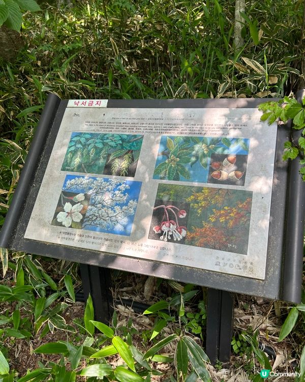 漢拏山御里牧登山
