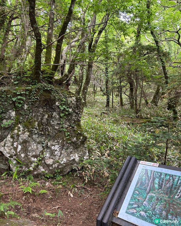 漢拏山御里牧登山