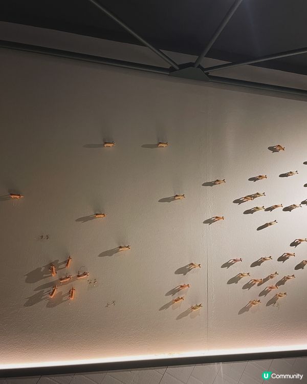 沙田適合一家大細西餐