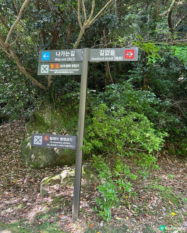 濟洲島天地淵瀑布