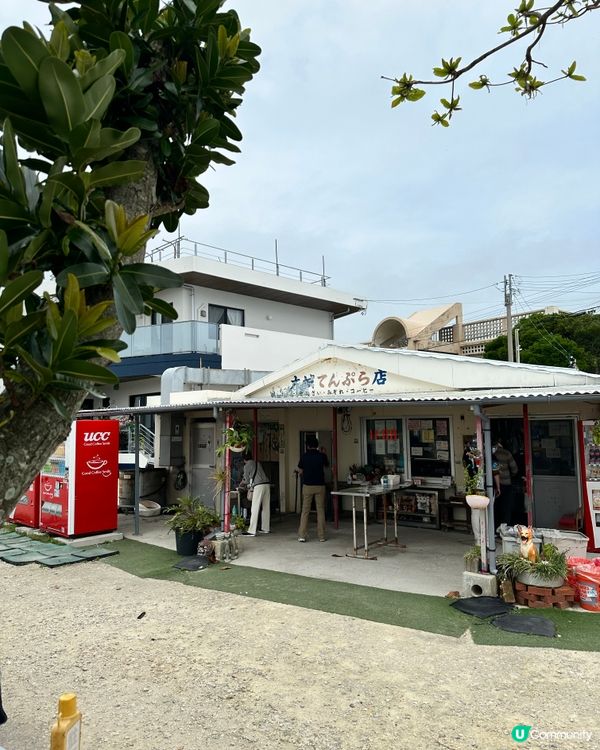 沖繩貓奴必到景點 : 奧武島半日遊