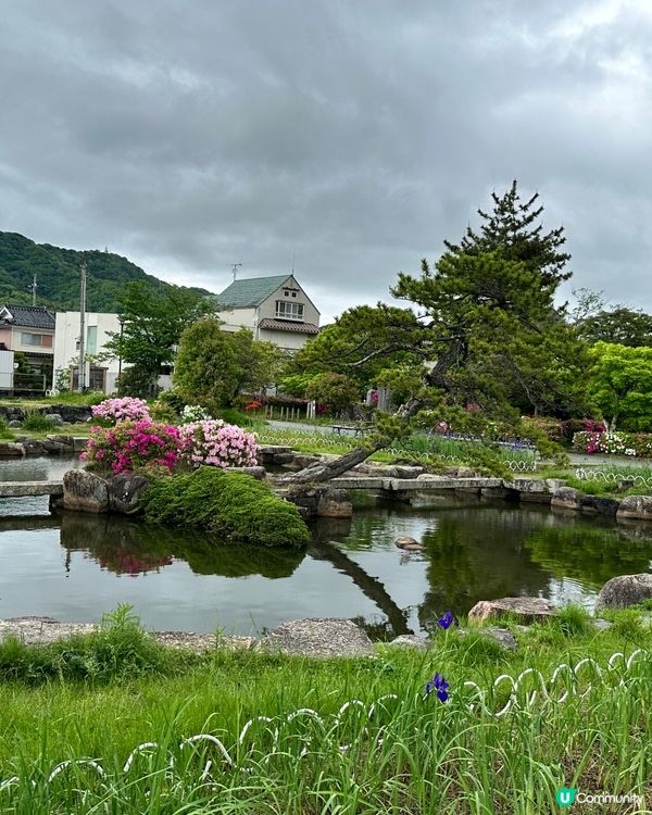 市區中的恬靜公園