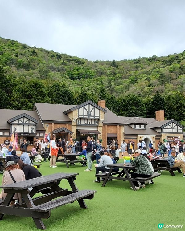 🏔🌸🌸富士芝櫻祭🌸🌸🏔 