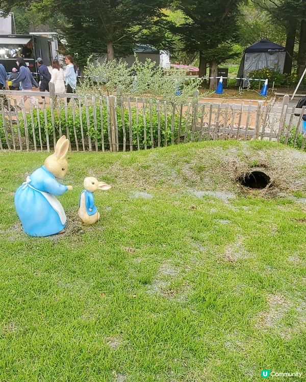 🏔🌸🌸富士芝櫻祭🌸🌸🏔 