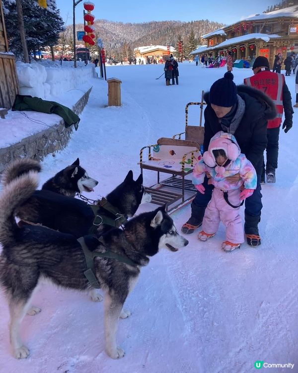 12月份的哈爾濱值得的一去，小朋友原來唔怕凍，零下10度玩雪...